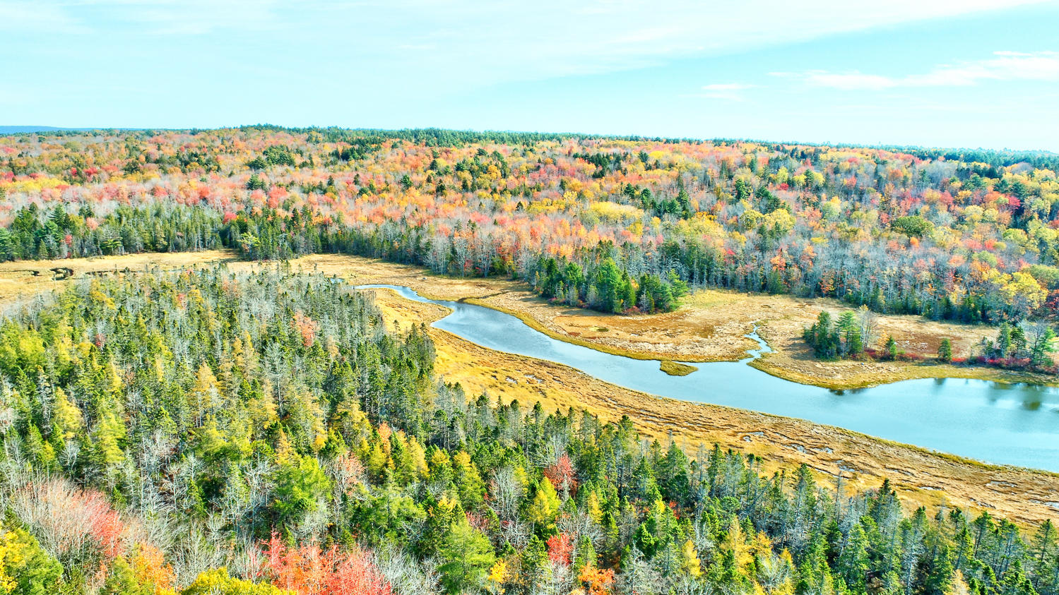 648 North Sedgwick Road Sedgwick, ME 04676 - Photo 58 of 67 Drone 10