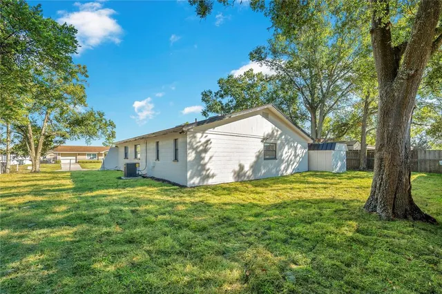 a view of a backyard with plants and large tree