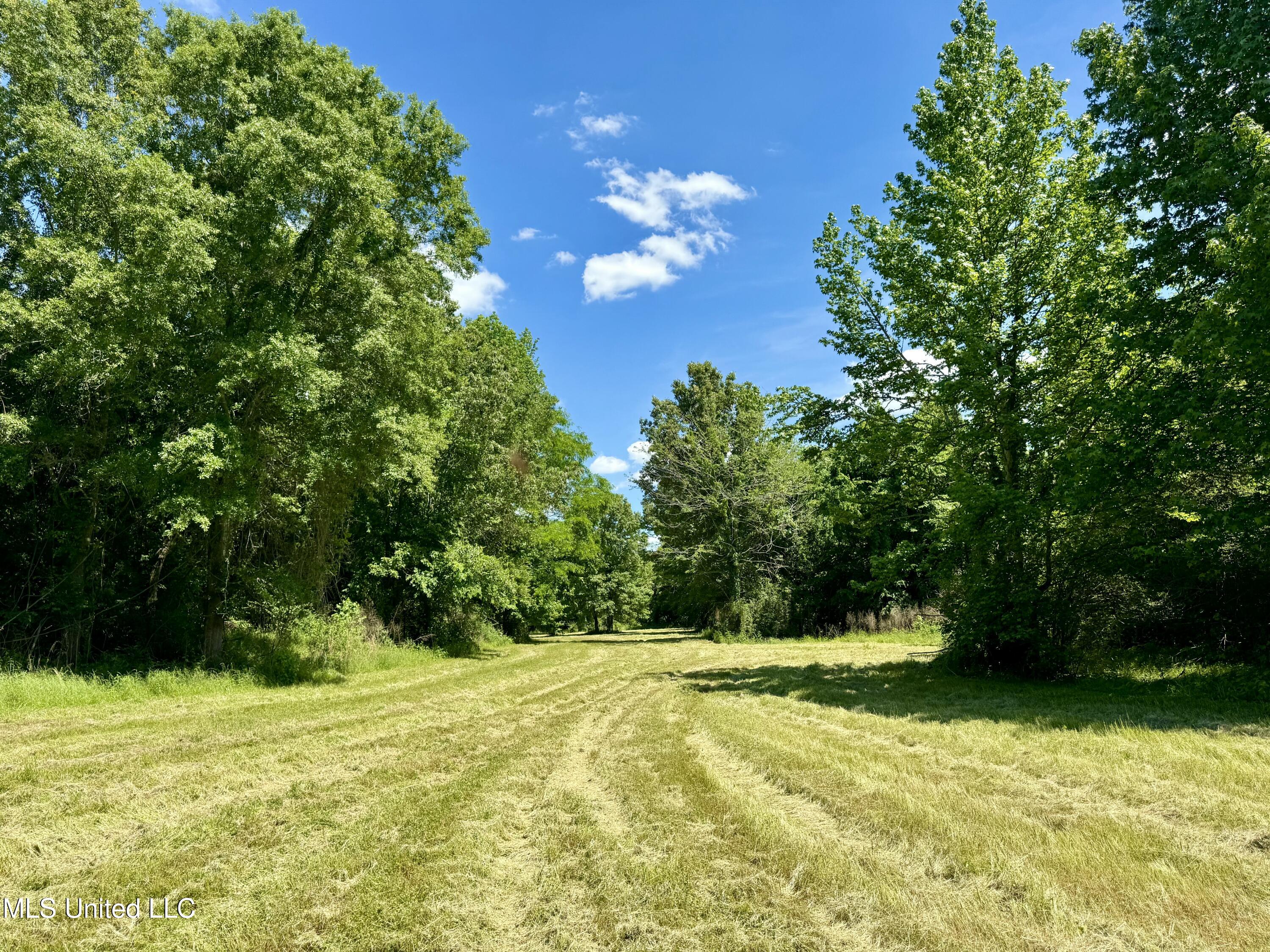 1 Ingram Road Benton, MS 39039 - Photo 13 of 39 0BD3A0D5-8324-4830-9A8A-2E6D667F1DDB