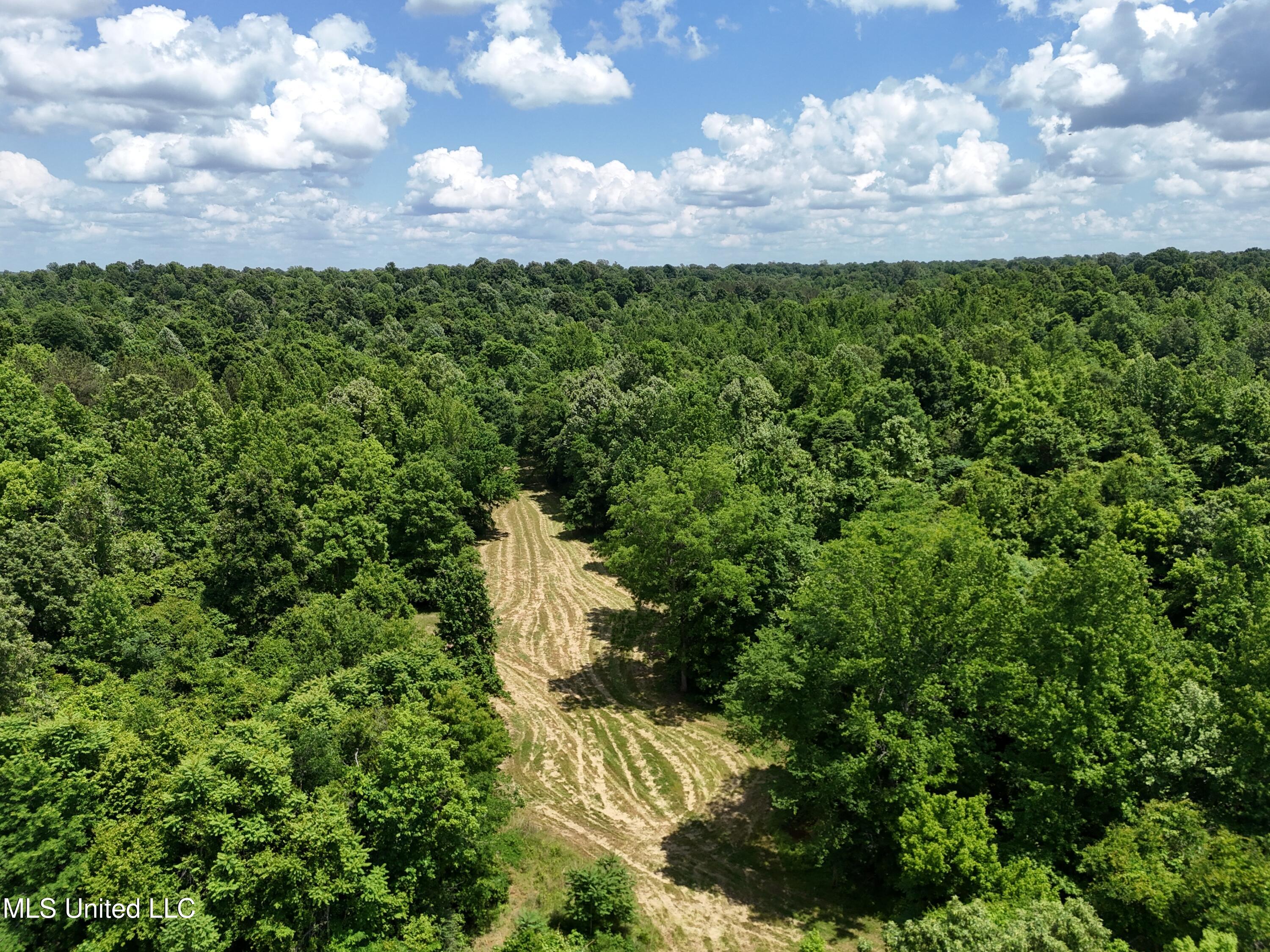1 Ingram Road Benton, MS 39039 - Photo 20 of 39 59D69365-EA82-4EC4-80FC-32894826BE2C