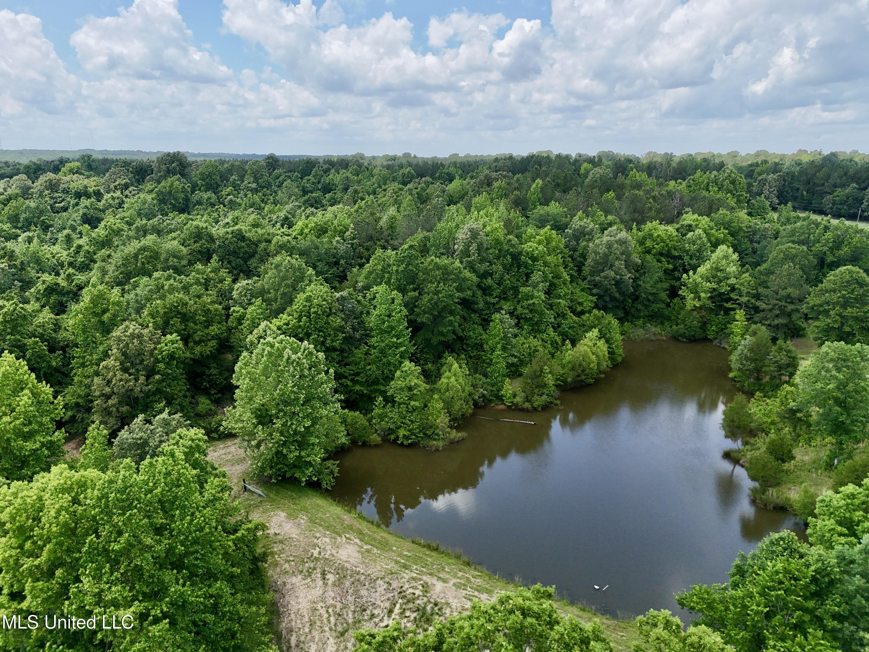 1 Ingram Road Benton, MS 39039 - Photo 25 of 39 3F1A07E7-8EBC-44B4-9041-CCE4D4E50C07