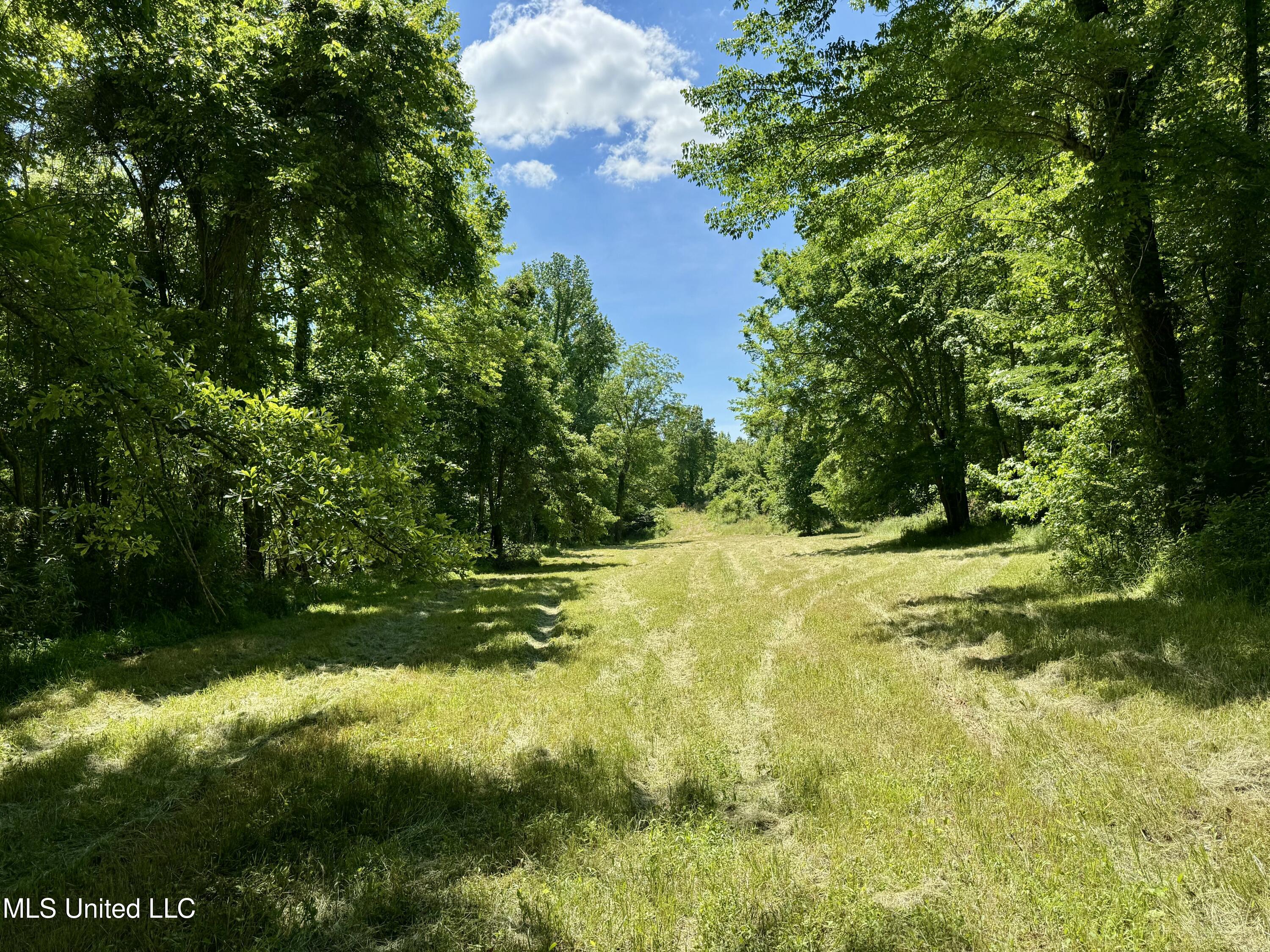 1 Ingram Road Benton, MS 39039 - Photo 28 of 39 F809D400-ADE5-4109-809A-D534EA471359