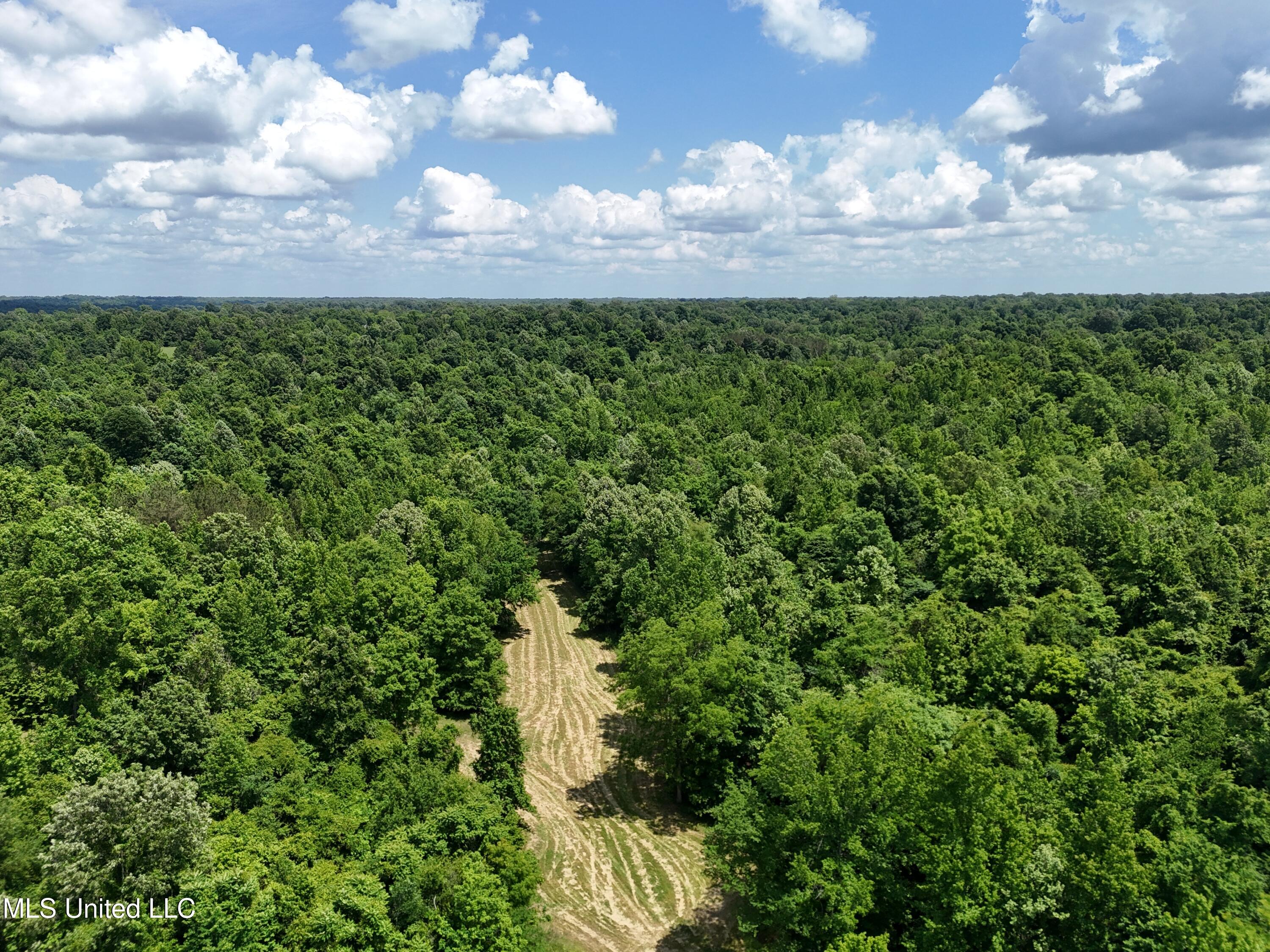 1 Ingram Road Benton, MS 39039 - Photo 29 of 39 5D639357-EE9E-472D-9EBC-A41912841BA0
