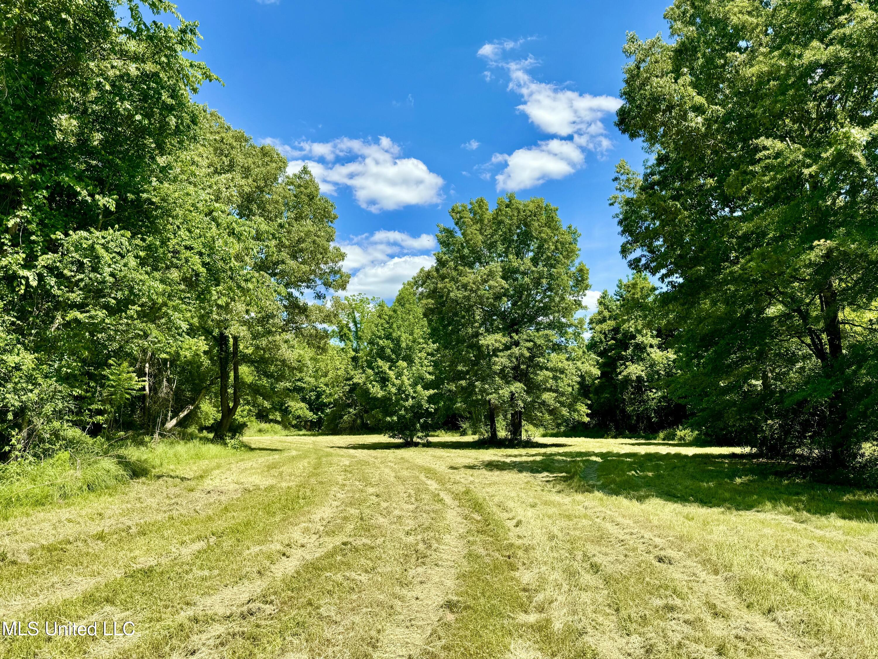 1 Ingram Road Benton, MS 39039 - Photo 3 of 39 6B15D0E2-1907-4EFA-9784-85996E0A25DB
