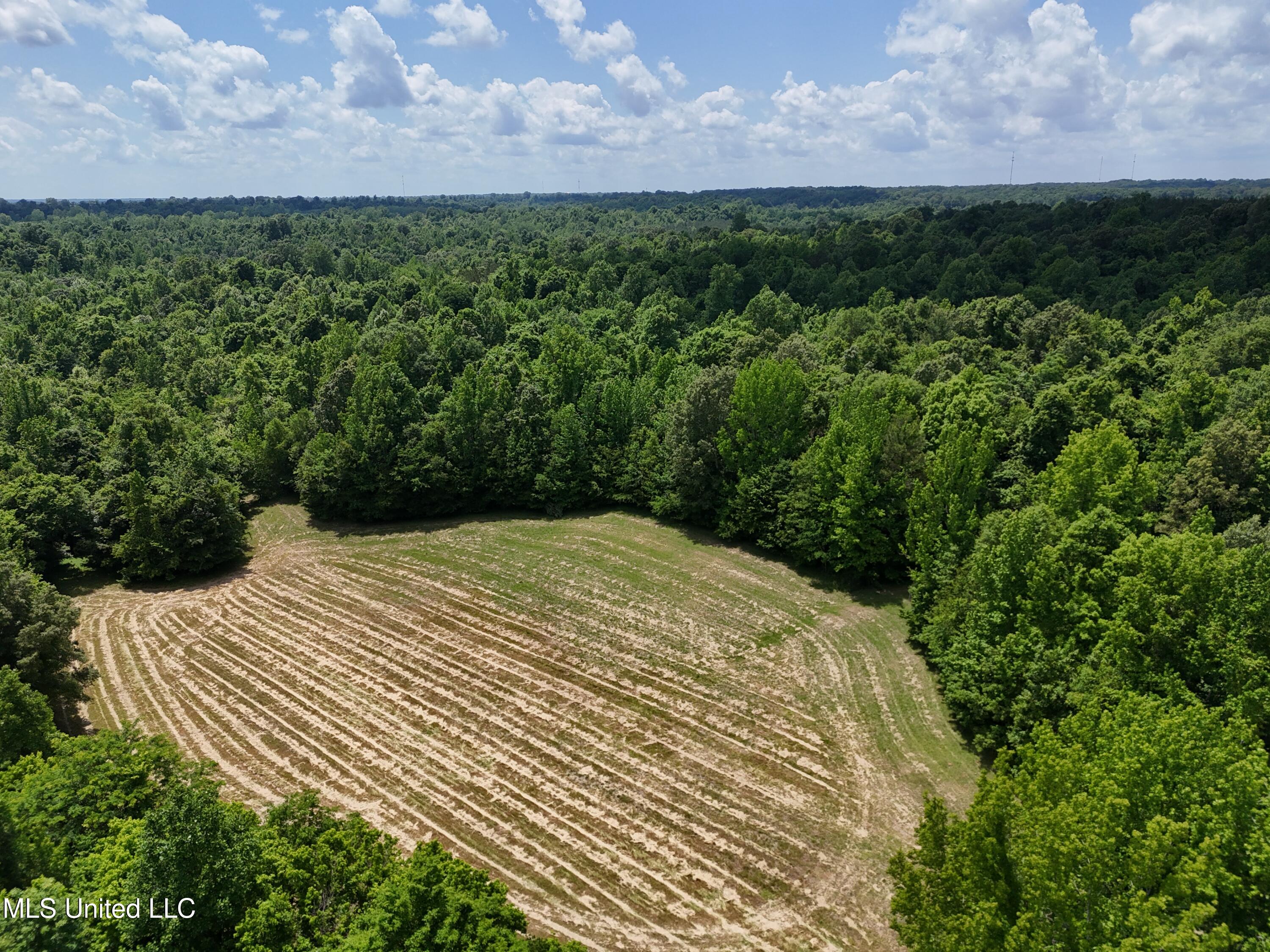 1 Ingram Road Benton, MS 39039 - Photo 33 of 39 875B5557-1D76-4B05-AD85-DF52096C74F8