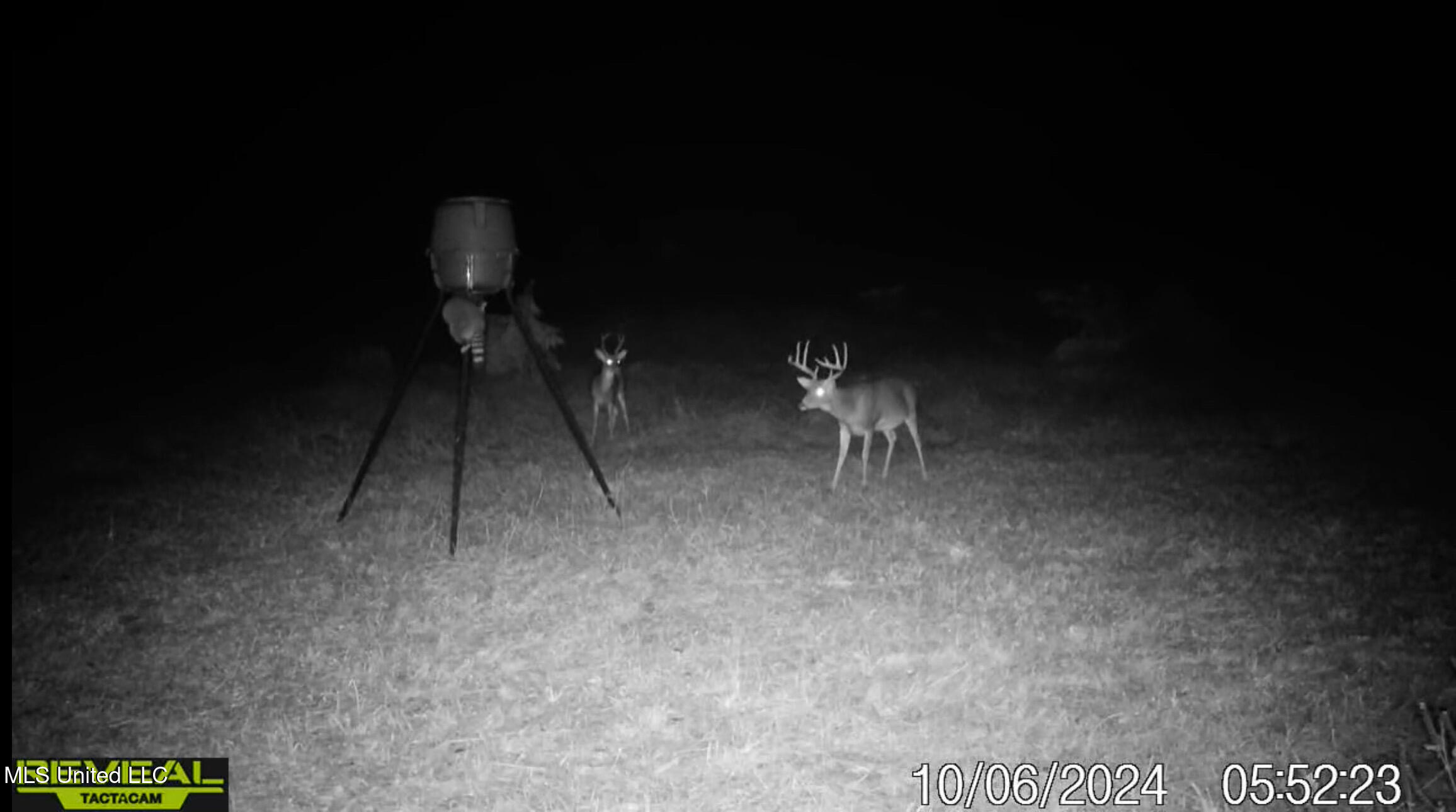 1 Ingram Road Benton, MS 39039 - Photo 35 of 39 AF72A034-1D1C-464D-B323-1B621FF78DA8