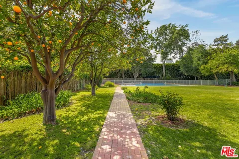 a view of a park with large trees