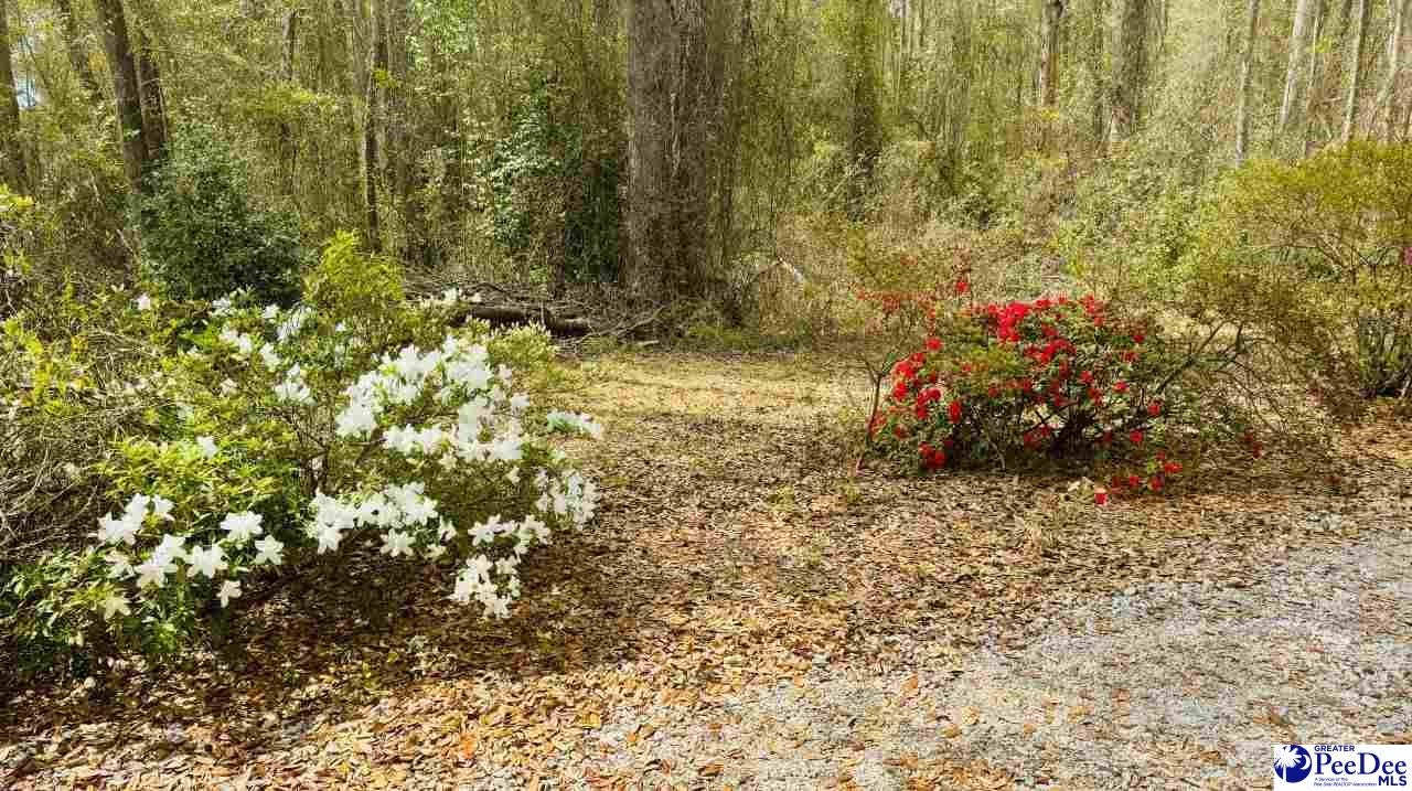 6238 West Market St Extension Cheraw, SC 29520 - Photo 17 of 49 Gallery Image 17