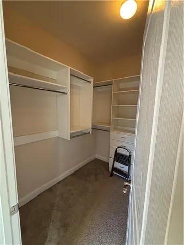 a bathroom with a shower and a sink