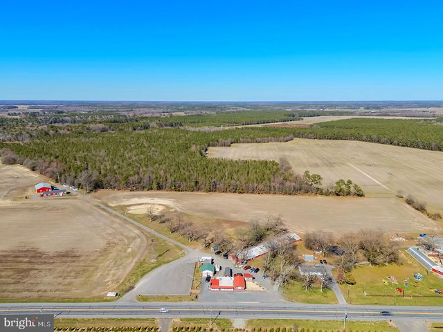 a view of an ocean beach