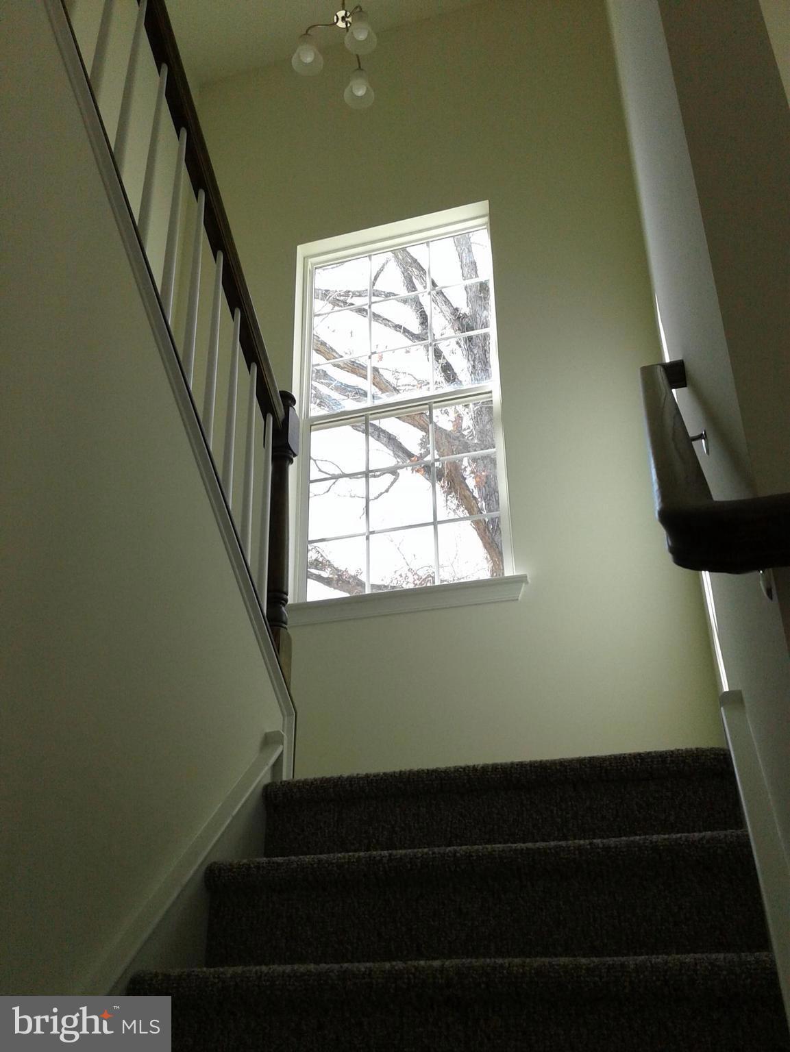 131 Cooper Folly Road Atco, NJ 08004 - Photo 11 of 26 a view of rack and window