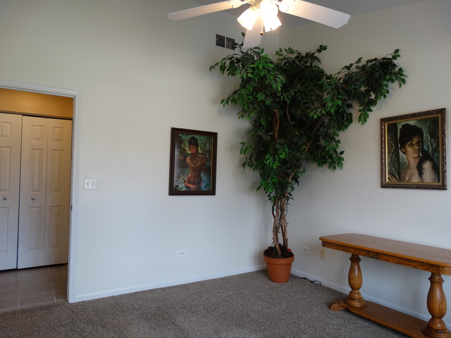 544 Birch Road Woodstock, IL 60098 - Photo 11 of 25 a vase of flowers sitting on a desk