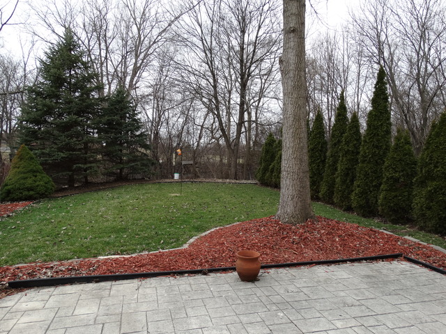 544 Birch Road Woodstock, IL 60098 - Photo 20 of 25 a view of a yard with plants