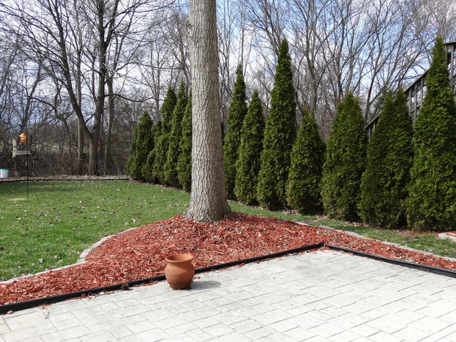 544 Birch Road Woodstock, IL 60098 - Photo 22 of 25 a wooden bench sitting in the middle of a yard