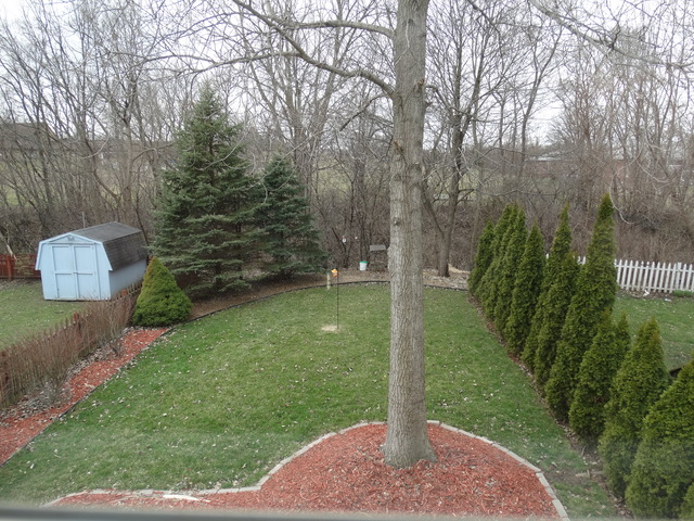544 Birch Road Woodstock, IL 60098 - Photo 23 of 25 a view of a back yard