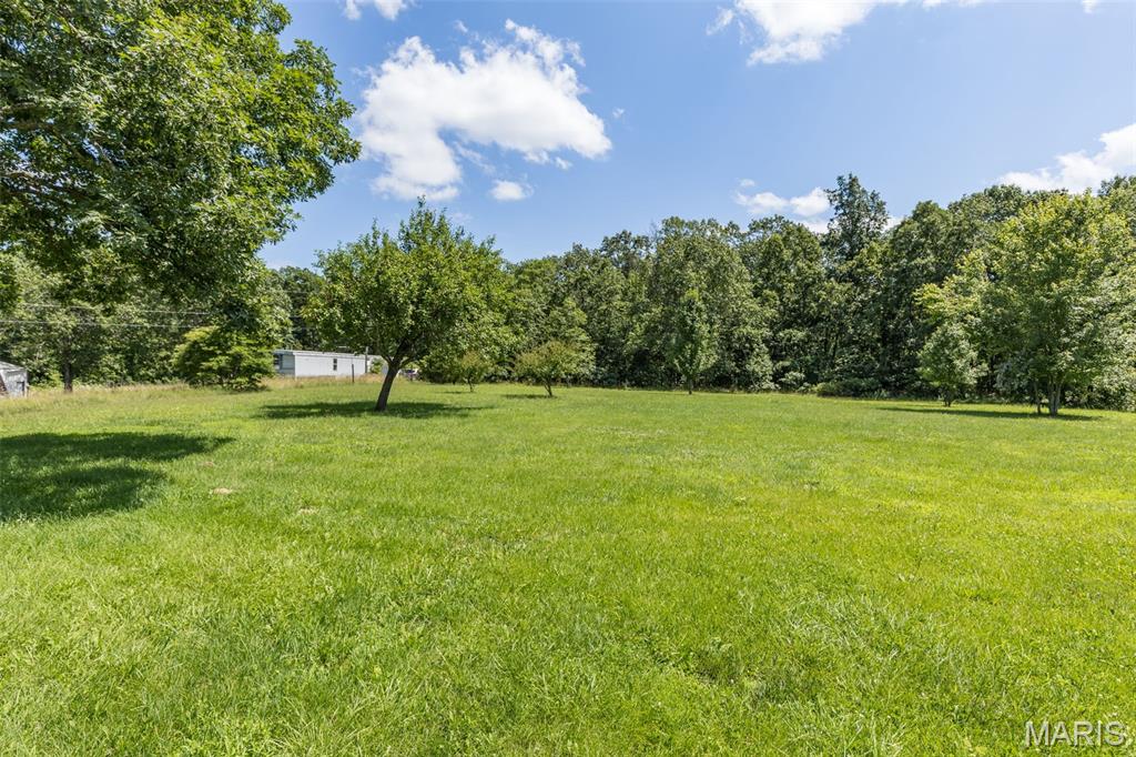 1901-1911 Howell Road Doe Run, MO 63637 - Photo 9 of 57