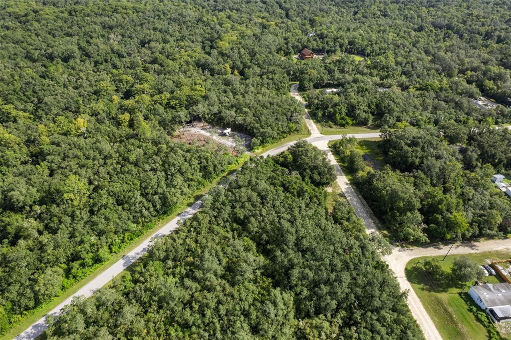 Bigelow Avenue Webster, FL 33597 - Photo 11 of 18