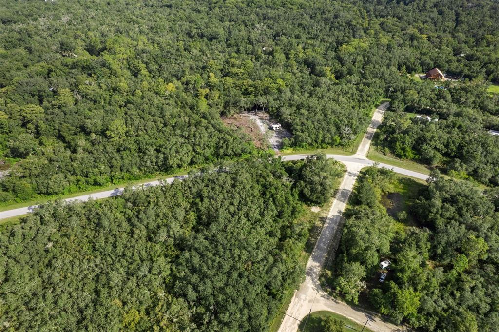 Bigelow Avenue Webster, FL 33597 - Photo 13 of 18