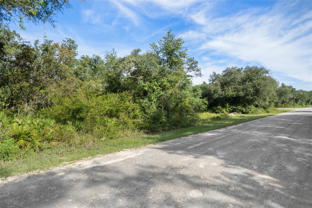Bigelow Avenue Webster, FL 33597 - Photo 15 of 18