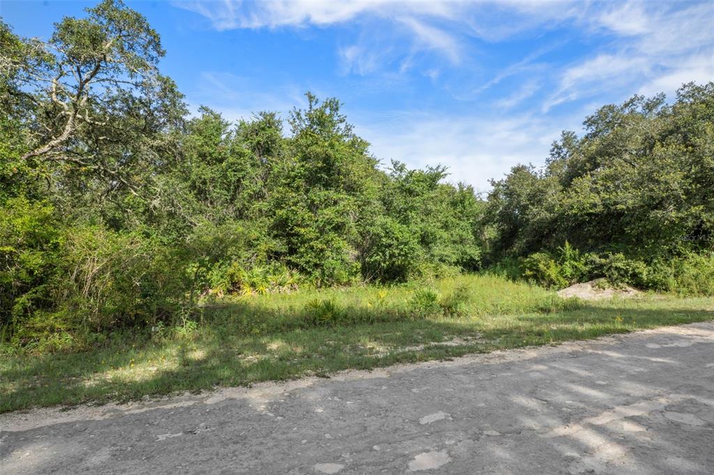 Bigelow Avenue Webster, FL 33597 - Photo 16 of 18