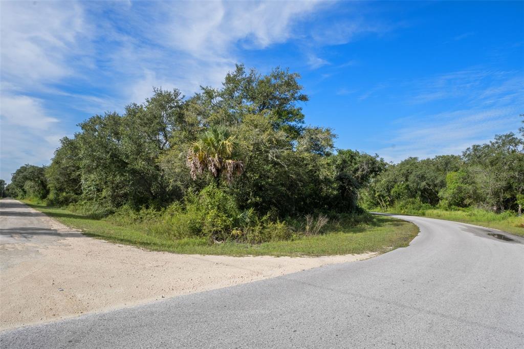 Bigelow Avenue Webster, FL 33597 - Photo 17 of 18