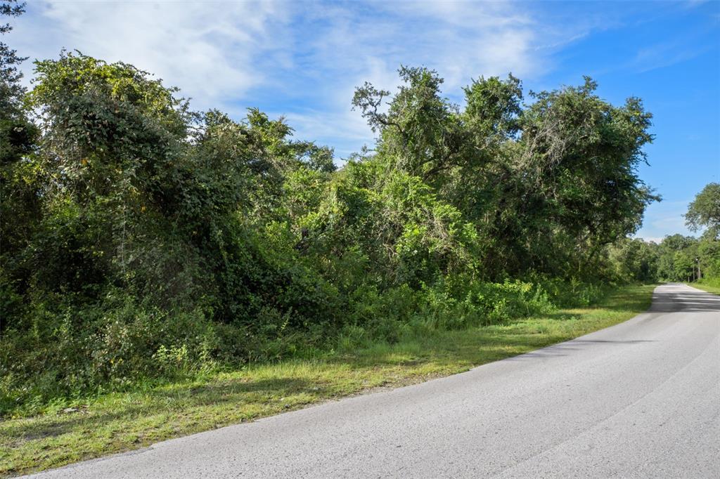 Bigelow Avenue Webster, FL 33597 - Photo 18 of 18