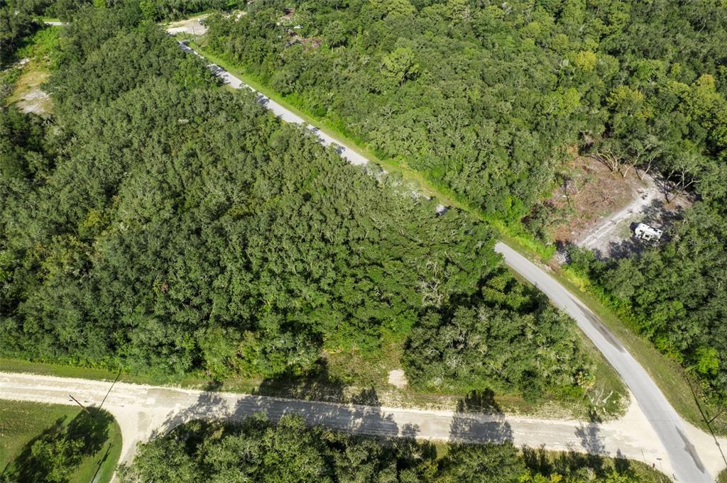 Bigelow Avenue Webster, FL 33597 - Photo 2 of 18