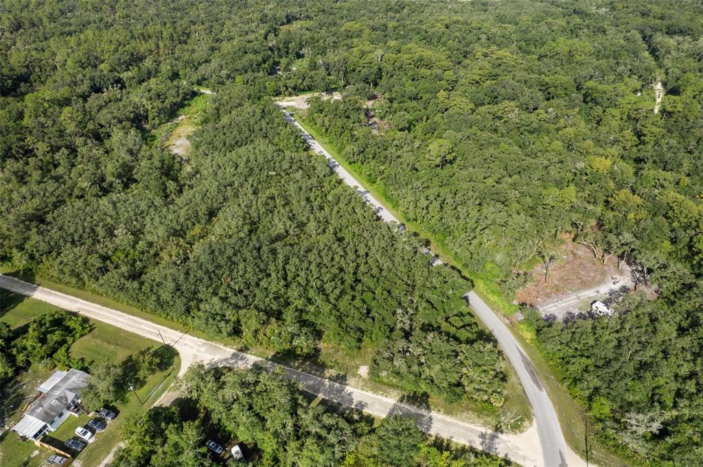 Bigelow Avenue Webster, FL 33597 - Photo 3 of 18