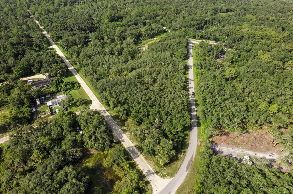 Bigelow Avenue Webster, FL 33597 - Photo 4 of 18