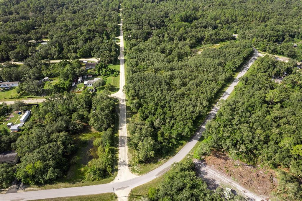 Bigelow Avenue Webster, FL 33597 - Photo 5 of 18
