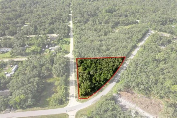 $27,500 | Bigelow Avenue, Webster, FL 33597