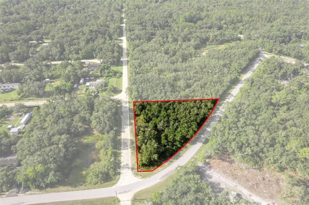 Bigelow Avenue Webster, FL 33597 - Photo 6 of 18