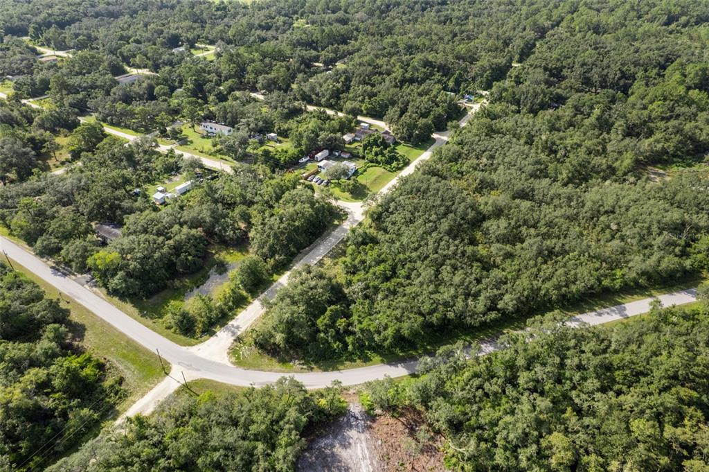 Bigelow Avenue Webster, FL 33597 - Photo 7 of 18