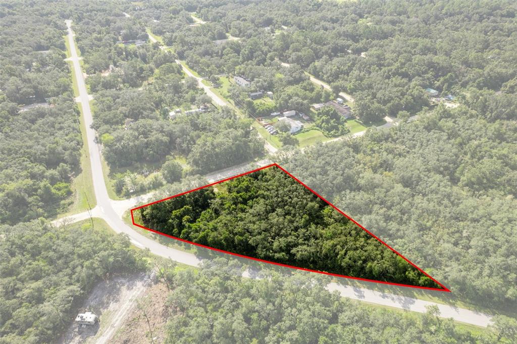Bigelow Avenue Webster, FL 33597 - Photo 9 of 18