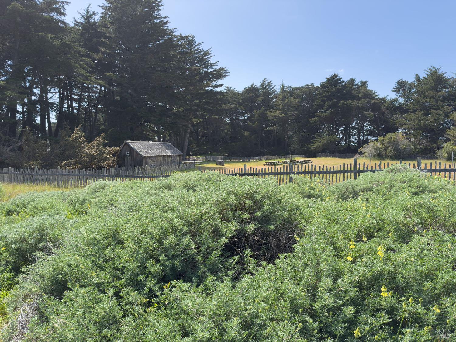 39463 Leeward Road The Sea Ranch, CA 95497 - Photo 16 of 37