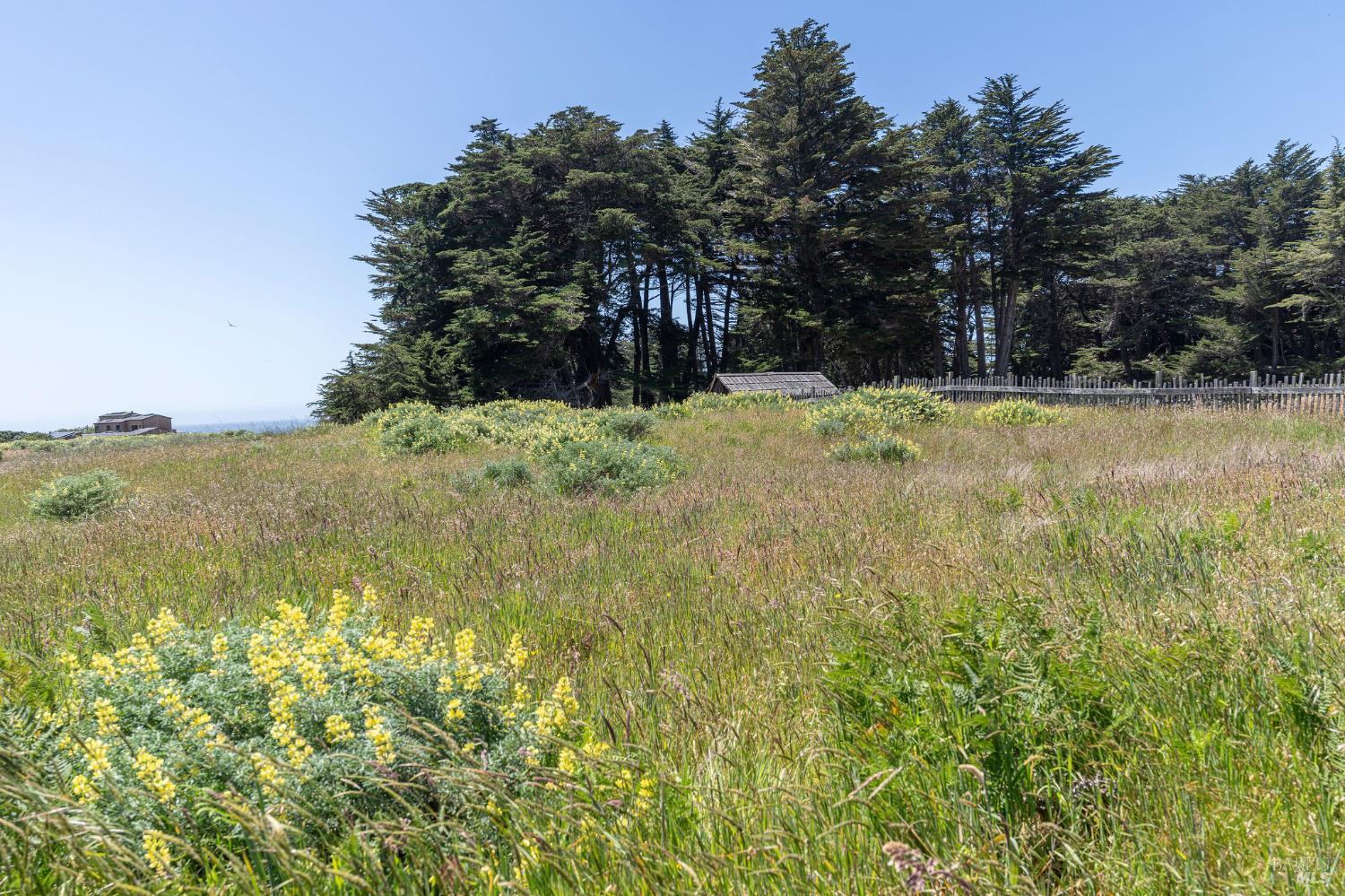 39463 Leeward Road The Sea Ranch, CA 95497 - Photo 6 of 37