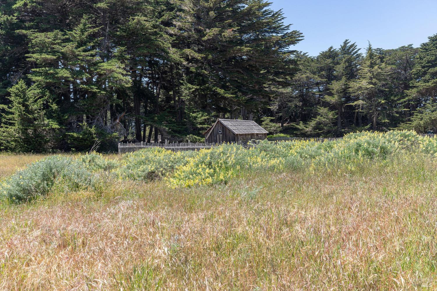 39463 Leeward Road The Sea Ranch, CA 95497 - Photo 8 of 37