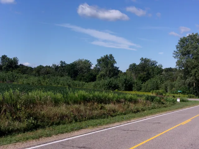 $34,500 | V Lot Fawn River Road, Burr Oak, MI 49030