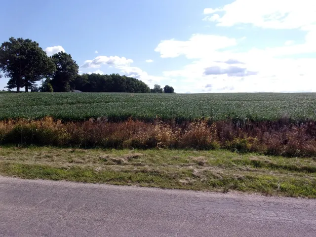 $34,500 | V Lot Fawn River Road, Burr Oak, MI 49030