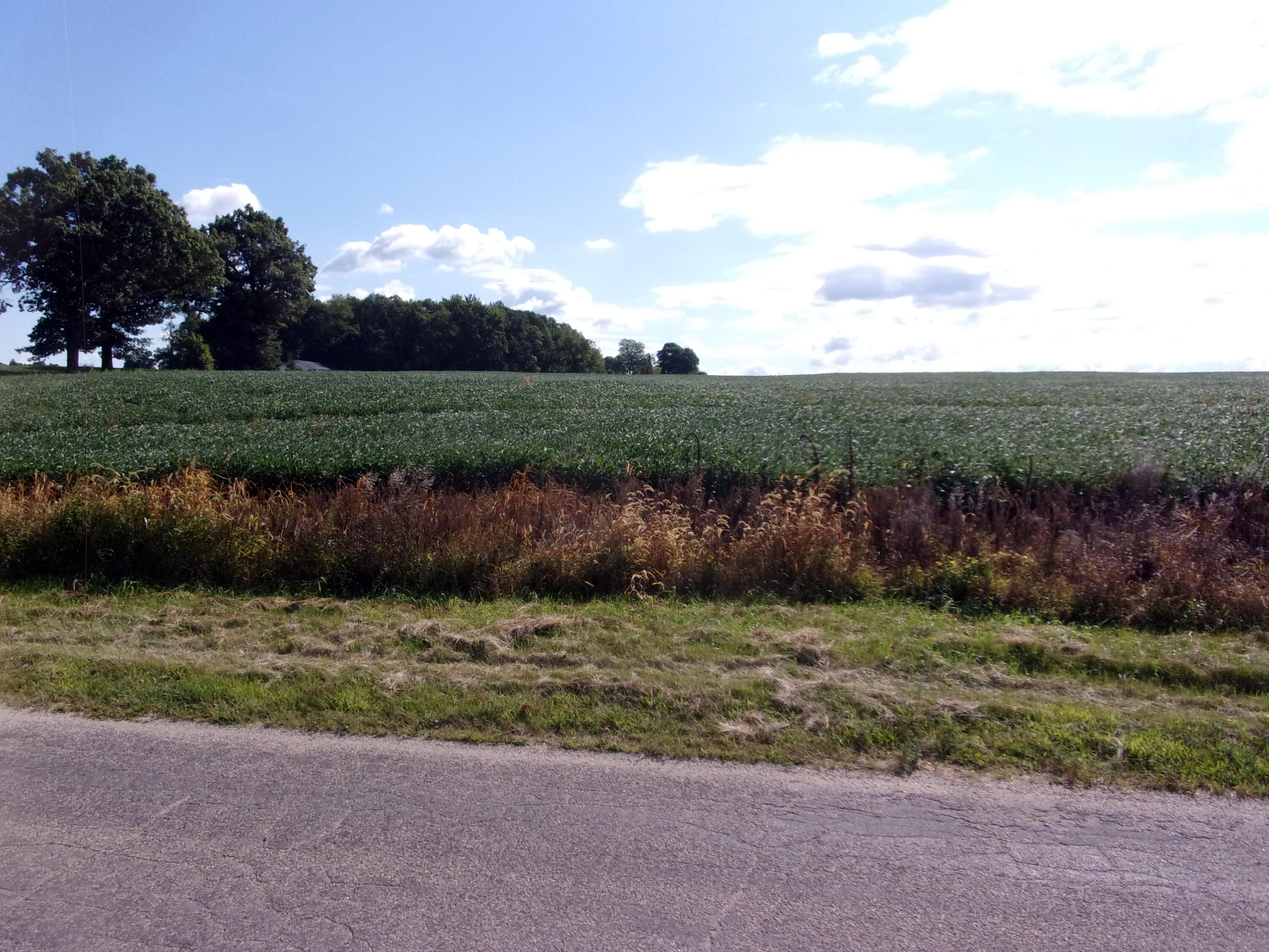 V Lot Fawn River Road Burr Oak, MI 49030 - Photo 5 of 10 113_5014