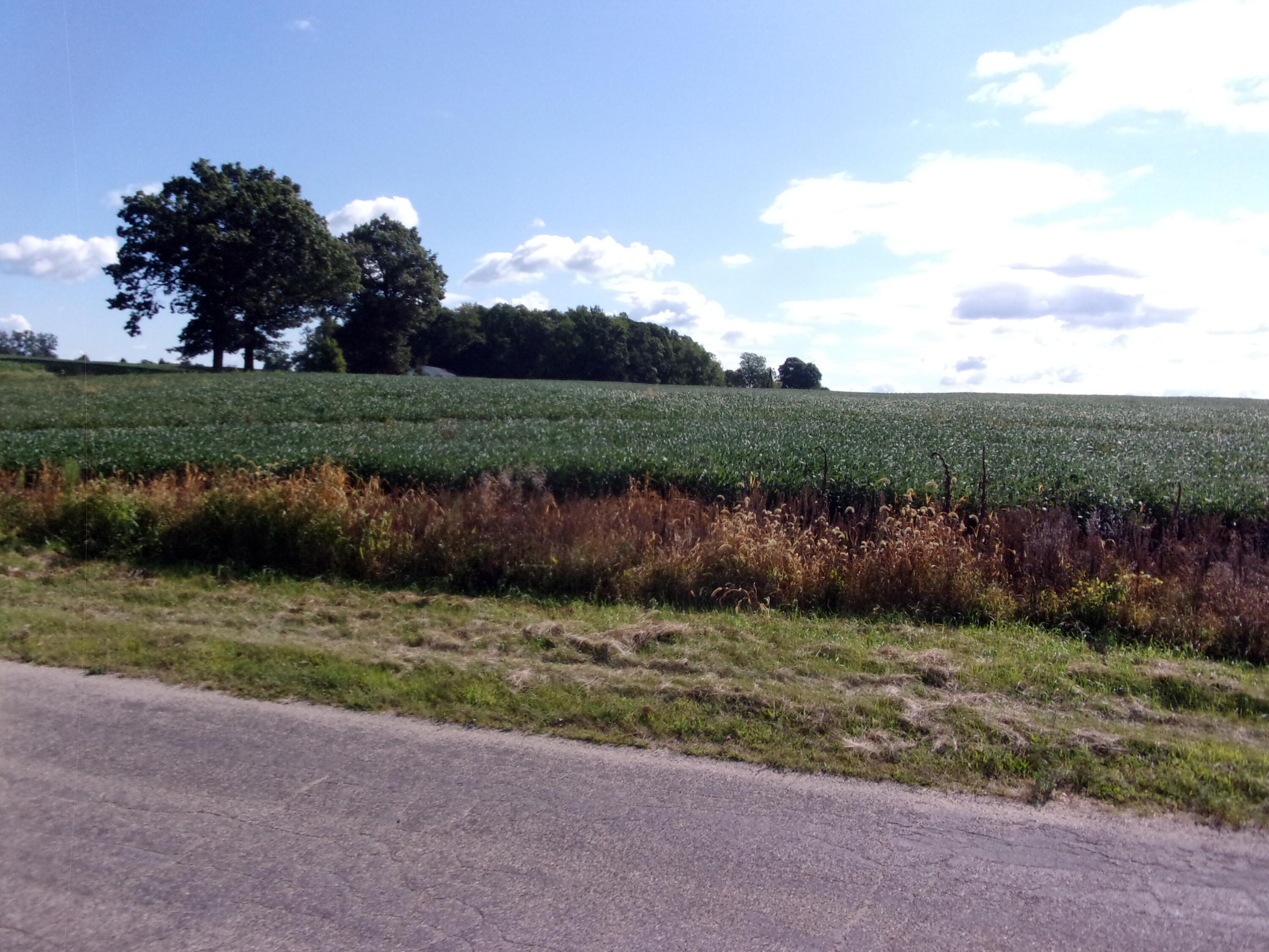 V Lot Fawn River Road Burr Oak, MI 49030 - Photo 7 of 10 113_5016