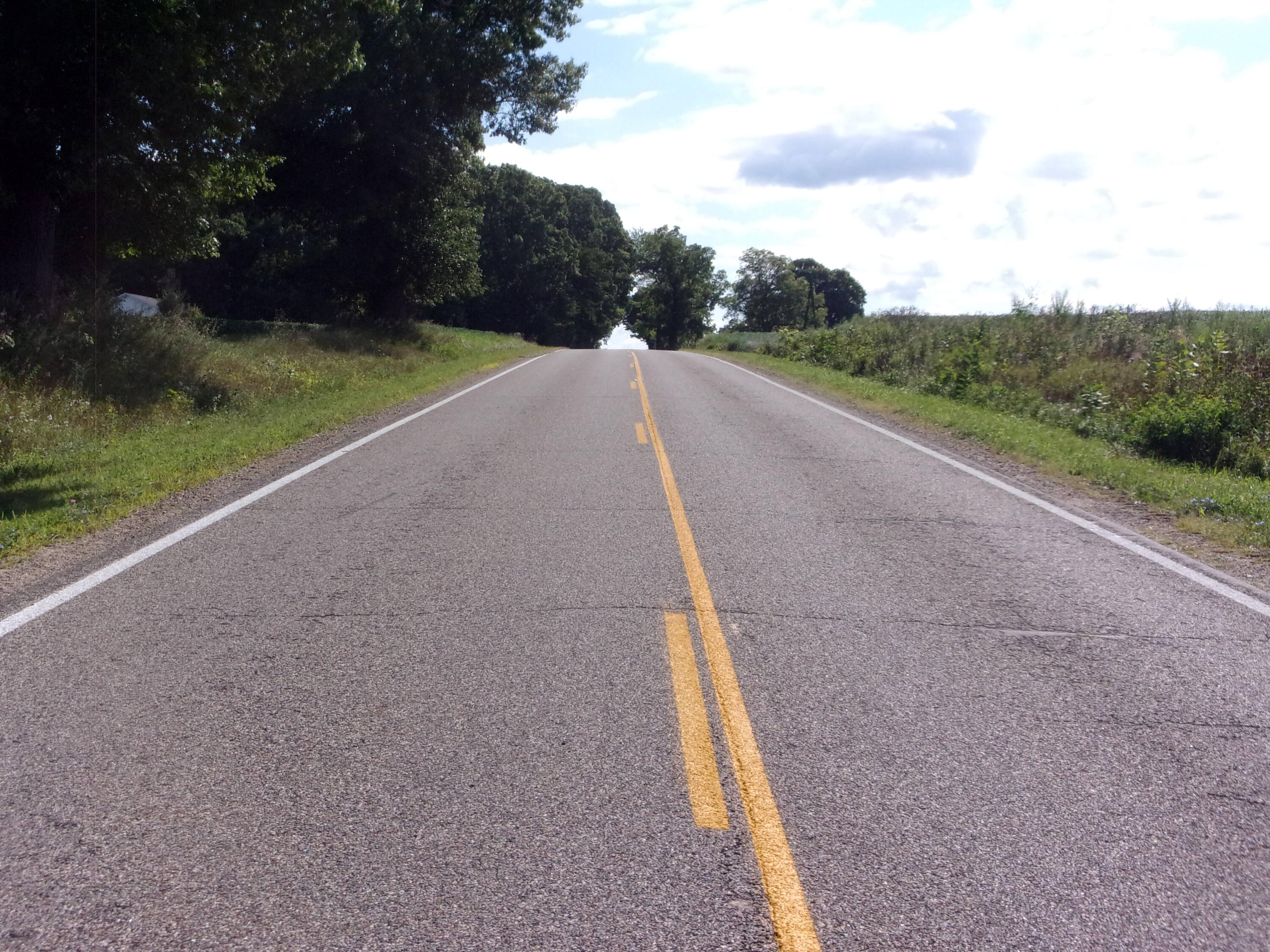 V Lot Fawn River Road Burr Oak, MI 49030 - Photo 8 of 10 113_5009