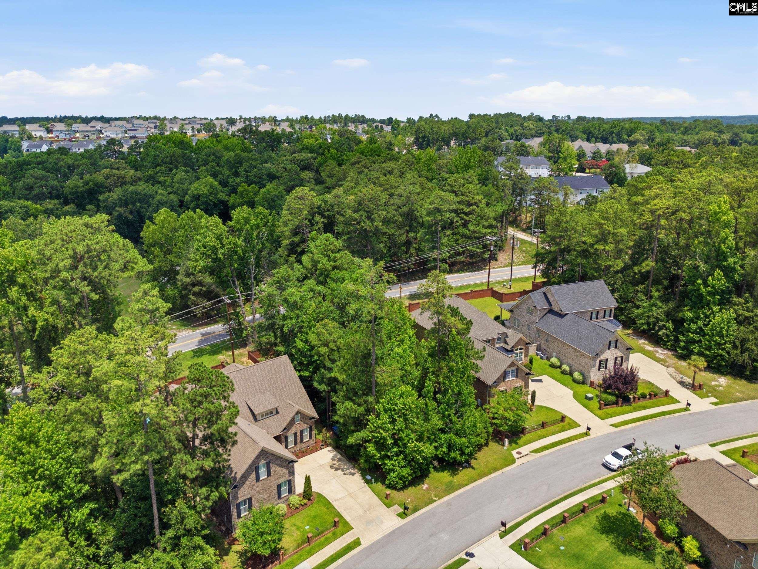 233 Upper Lake Drive Elgin, SC 29045 - Photo 6 of 31 an aerial view of residential houses with outdoor space