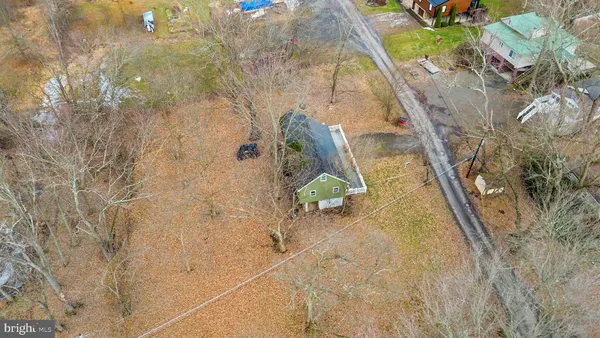 a view of a yard with plants