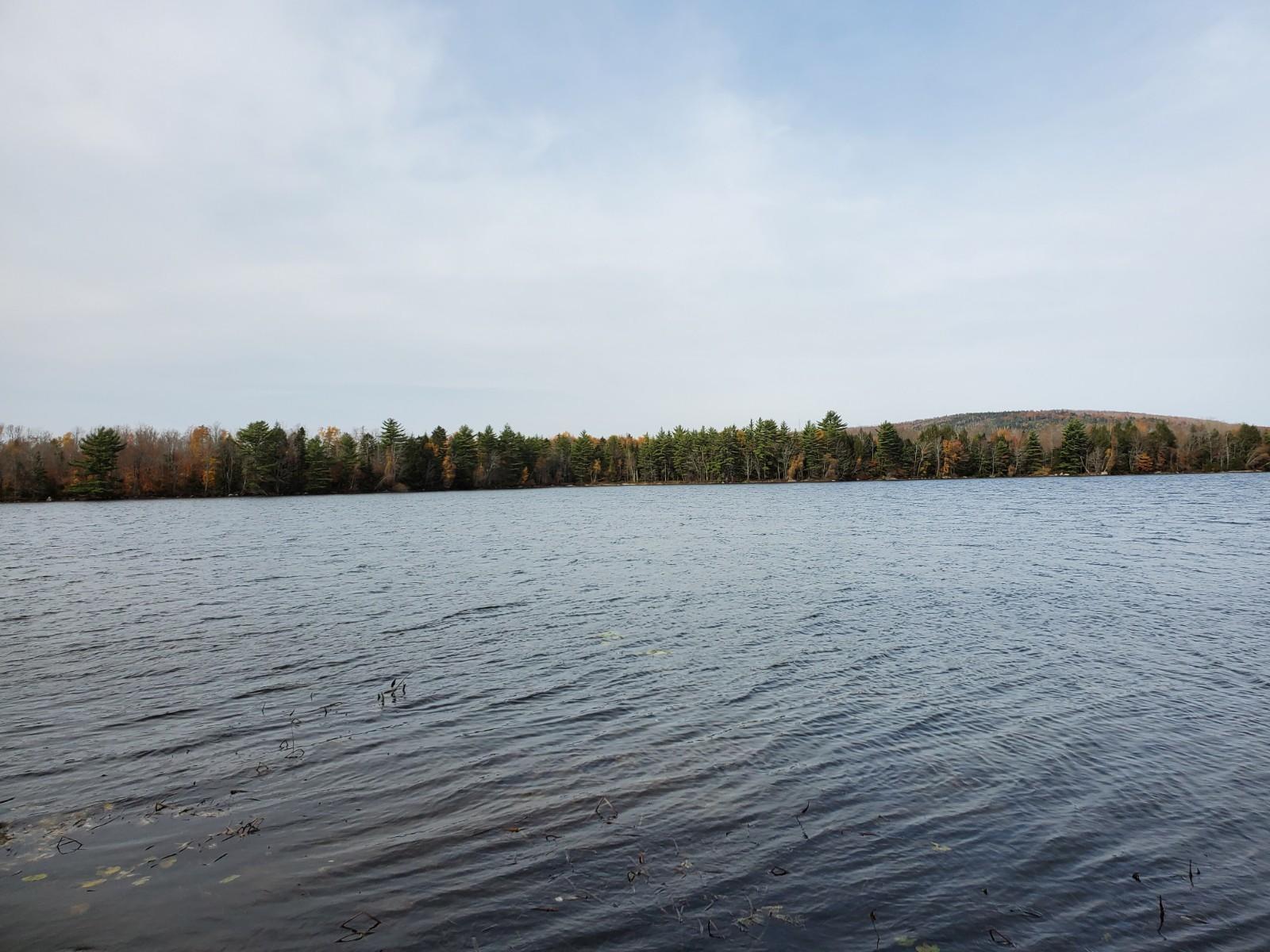 Lot 2 Still Road Lincoln, ME 04457 - Photo 6 of 12 20201019_122326