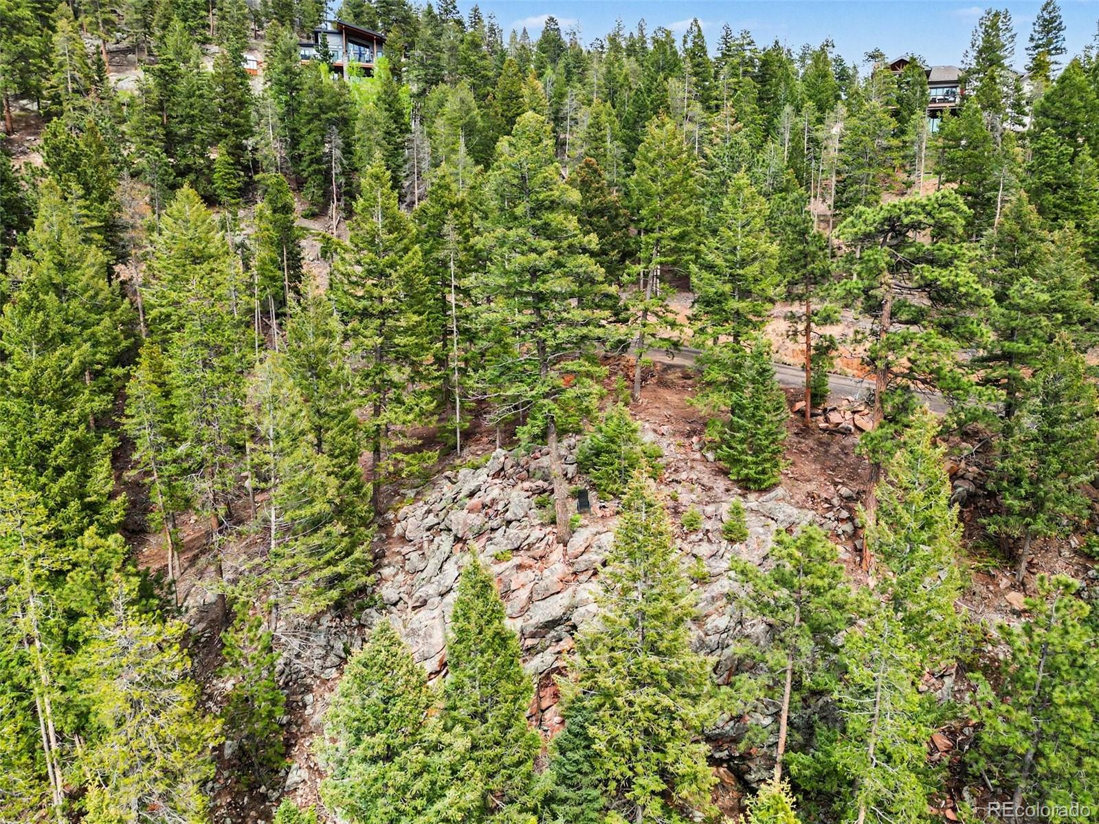 7141 Timber Trail Road Evergreen, CO 80439 - Photo 3 of 9
