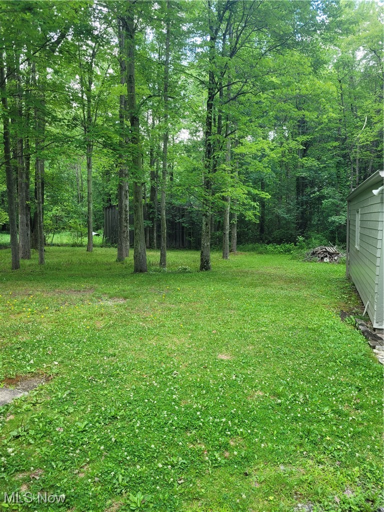 1062 Ridge Road Vienna, OH 44473 - Photo 3 of 11 View of yard