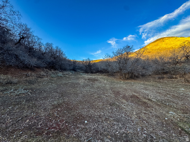 123 West Spring Hollow Road Morgan, UT 84050 - Photo 5 of 9 View of nature featuring rural landscape and a mountainous background
