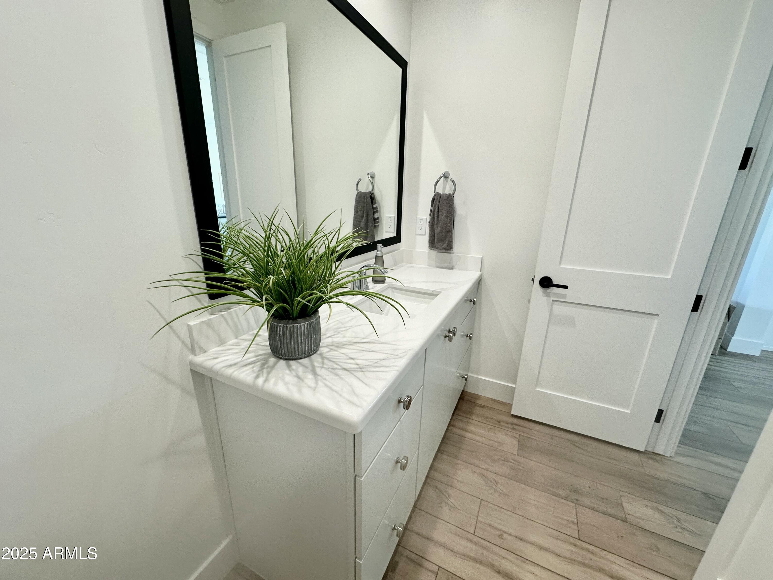 2725 East Derringer Court Gilbert, AZ 85297 - Photo 22 of 56 a bathroom with a sink a mirror and a potted plant