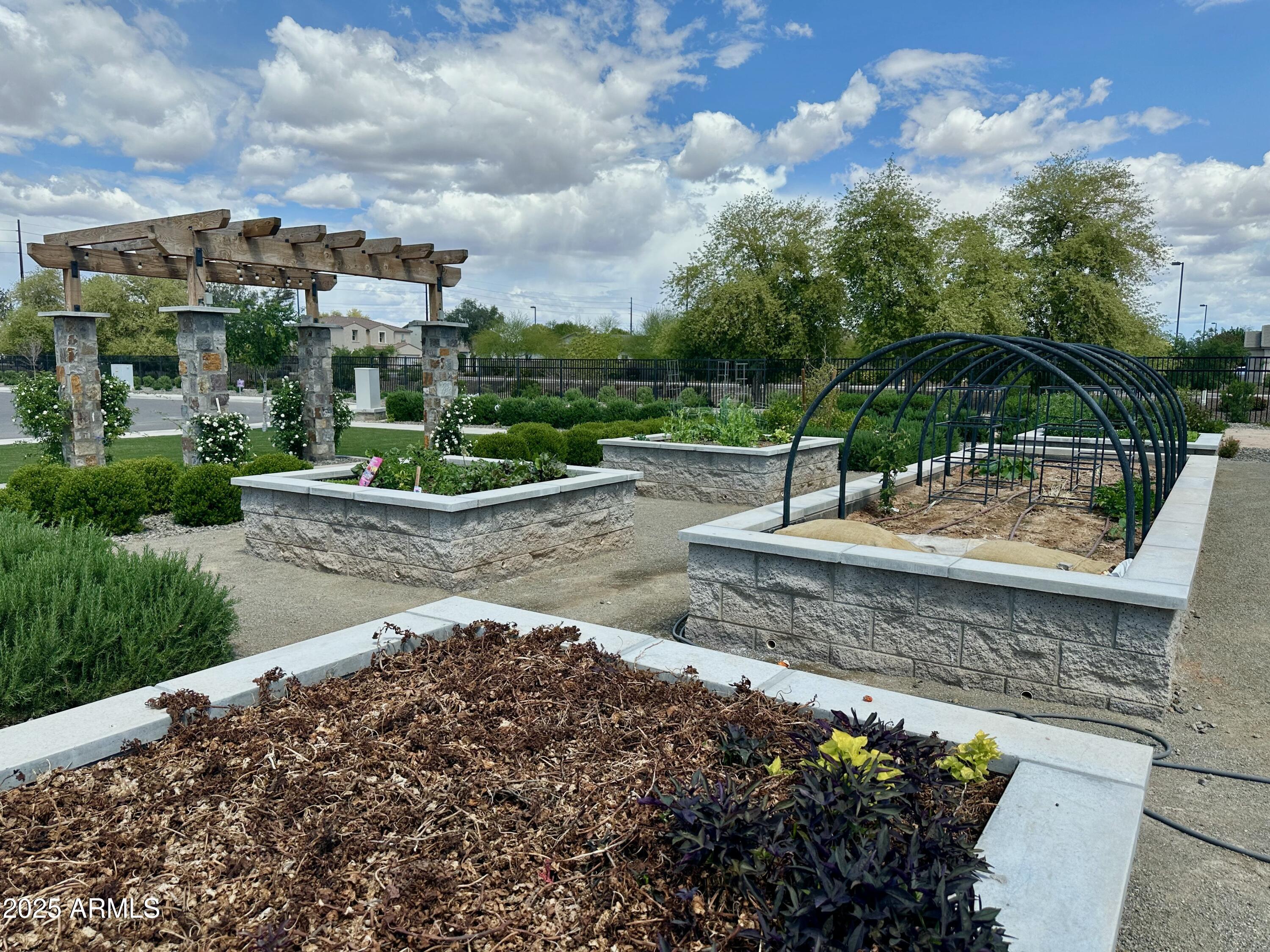 2725 East Derringer Court Gilbert, AZ 85297 - Photo 49 of 56 a view of a park with large trees